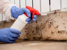 Bristol, WI Mold Prevention & Removal  Company